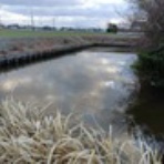 幕末・明治の肥前　こぼれ話