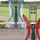 【朗報】チャンピオンズCに南米馬2頭が参戦へ