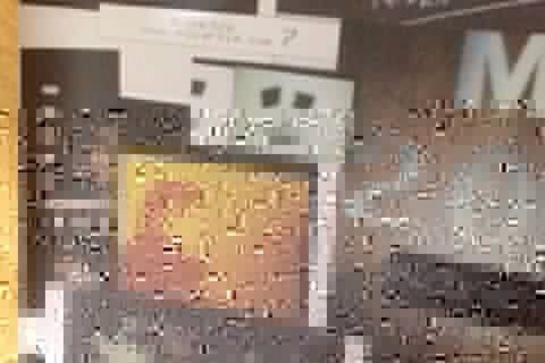 すいすいすいさいど