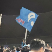 写真日記　2026年6月①交流戦と聖子ちゃん大忙しの週末