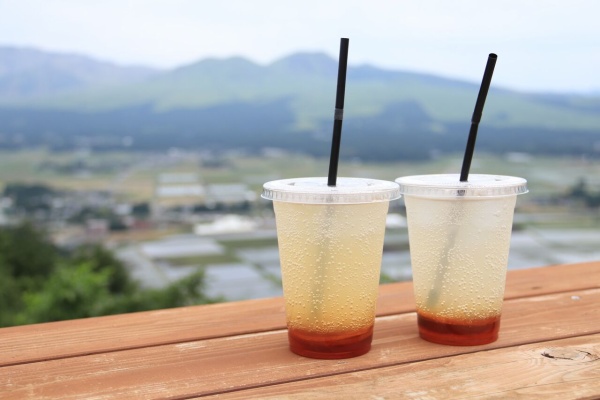 ゴート写真旅 熊本