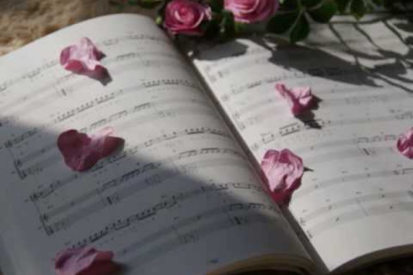 混声合唱団 アダージョの日記 ユーチューブ 動画 音声