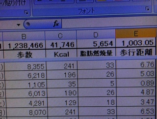 治療の為のウォーキングが1,000km を突破(^-^)