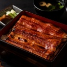 【朗報】完全養殖ウナギ、販売開始