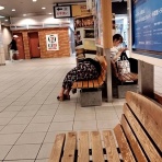 猫男爵てるりの新しいブログ