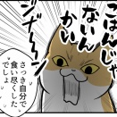 【猫マンガ】真っ先に確認するのは隣のごはん