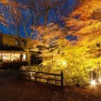 wisesurfspaceのblog