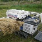 フリースクール彩星学舎の学びの日々