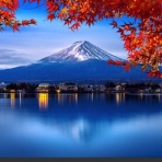 hiraizumi88のblog