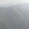東京・奥多摩町仙元峠で上半身のない遺体　クマに襲われた可能性
