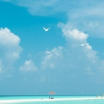 使用済ジャパーン!!!