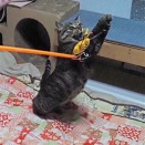 腕の間に紐を挟んでゲットー