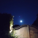 Pallina気まぐれ生活日記