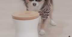 熊本の皆様と動物たちの無事を願って　~もし留守番中に地震が起きたら。愛犬のために考えたこと