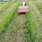 自然農菜園「はたけや」の作業日誌