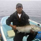 ORA Minnowで初めて釣れた90UP/10kgUPのブラウントラウト
