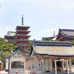 ときどきひびき農園日記