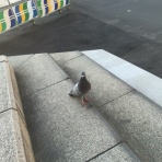 DTM初心者による初心者的blog