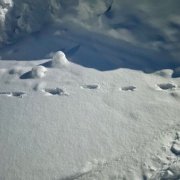 長靴が埋もれるほどの大雪です