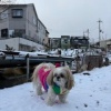 年に１度の大イベント♪