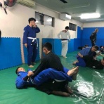 ブラジリアン柔術 修斗 総合格闘技道場 パラエストラ和泉blog