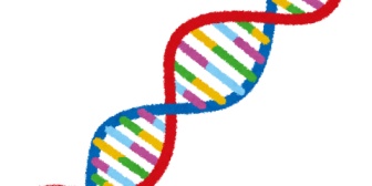 妻が妊娠16週目で受けた羊水検査結果が出た。全項目で陰性で、本当に安心した。