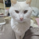 缶詰じいちゃん