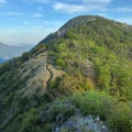 山