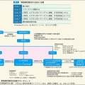紫斑病性腎炎