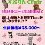 ドッグ＆キャッツ綿半箕輪店