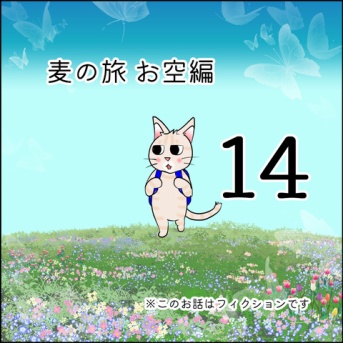 麦の旅お空編14