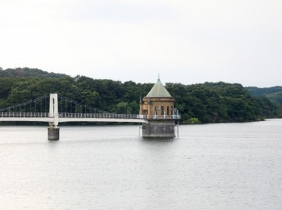 埼玉県民俺「埼玉田舎扱いするなら人口735万人以上w人口密度4位以上になってからしてくれやw」←どうするよ
