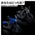 あなたはどっち派？ブレイクアウトORローライダーST