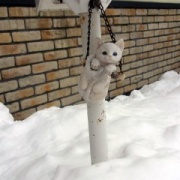 食物花粉アレルギーのお話と今朝の庭で衝撃を受けたこと