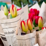 『今頃どうなっていたか』の画像