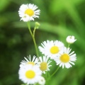 中津へ（45）