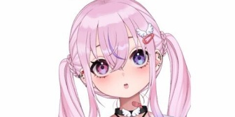 【VTuber】胡桃沢りりか、Xアカウントが乗っ取られた模様「問い合わせてもあなたは本人じゃないためサポート対応を終了しますとか抜かしやがる」