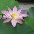 褸ޤѰդ뤳Ȥʤ