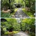 「都の隠れ家」京都“わらびの里“ 財団盆栽展示❗️