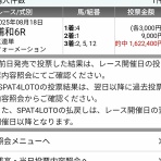 他力本願　競馬予想サイトでは本当に稼ぐことができるのか、身銭を切って馬券を買って検証した結果を掲載しているサイト