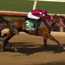 フォーエバーヤング米年度代表馬得票数17票ｗｗｗ