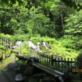 夏の旅6月７～羊蹄山の山麓はとっても自然豊か❗️京極町・倶知安町