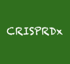 [レビュー] CRISPR Dxを強化する機能性核酸