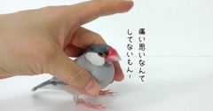 ジルたんを止めろ！