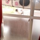 猫に小判を与えたら。 埋蔵金：千八百八拾両　もぉ～勘弁してくれぇ～。