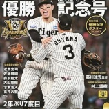 『圧勝 阪神タイガース 2025NPBレビュー』の画像