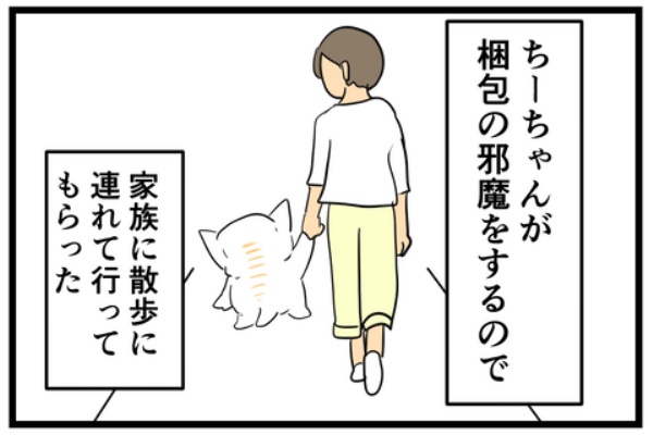 ちーちゃんっ🐾 - いぬまんが