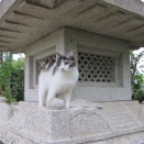 終末期医療