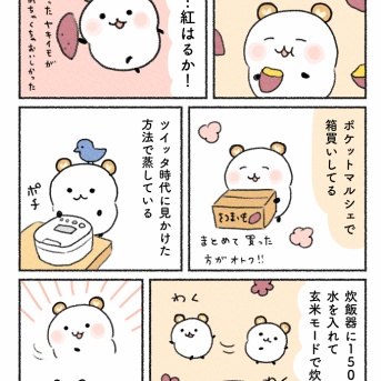 さつまいも推し品種