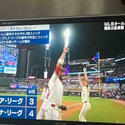 뤴Ӥ䤷ڡMLB륹ëʿҥå1ܡǸΥۡ˽Фߤäʤ